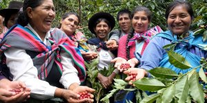 Cafédirect: Brewing Sustainability and Quality Together