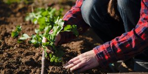 Foodservice forum: CSR