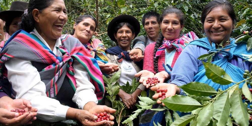 Cafédirect: Brewing Sustainability and Quality Together