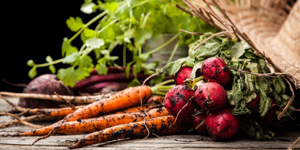 ISS wins schools sustainability award