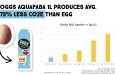The Open Doors Programme Sustainable Supplier Spotlight: OGGS