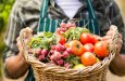 Industry urged to support British Food Fortnight
