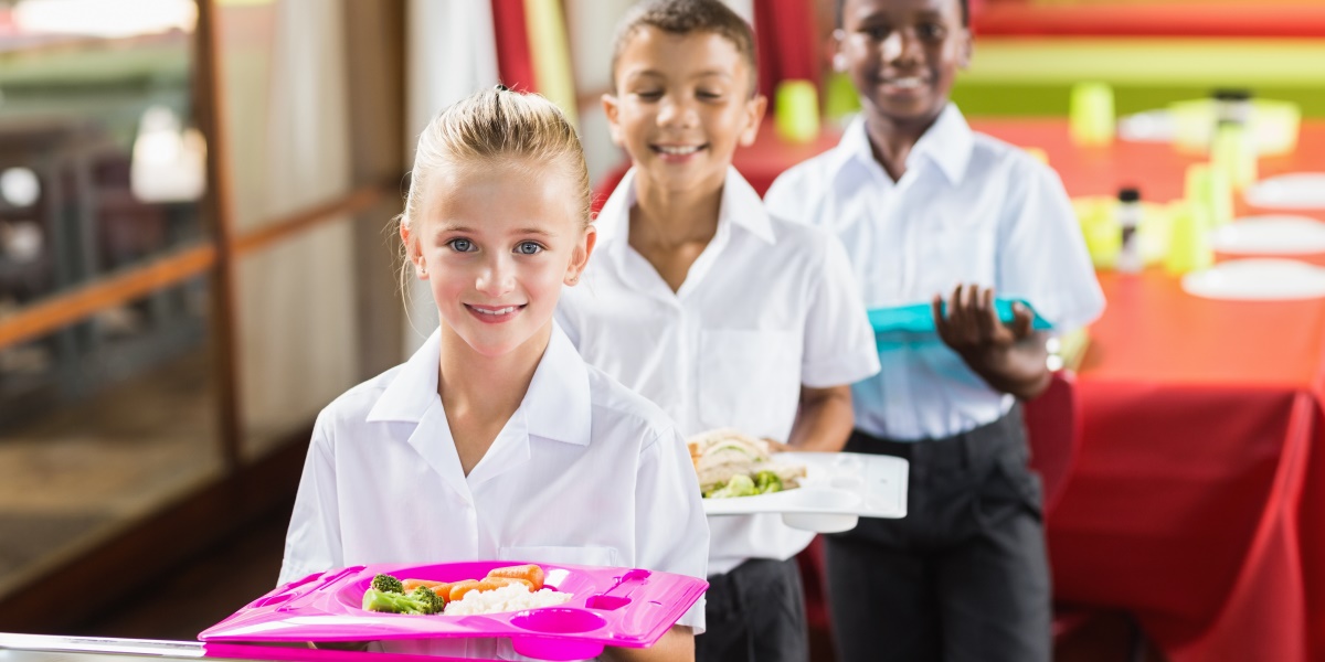 New school meals survey